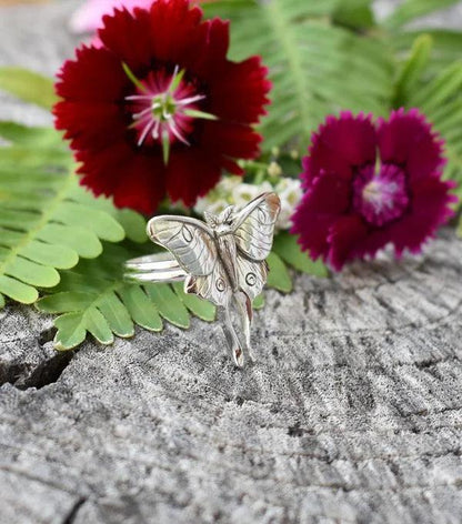 Ring of the Butterfly Jula Jewelry